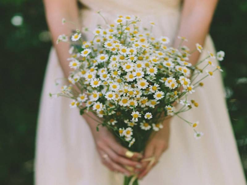 Bó hoa cưới cúc tana cầm tay cô dâu đẹp trong ngày cưới