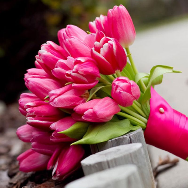 Mẫu bó hoa cưới tulip sang trọng cho cô dâu trong ngày cưới