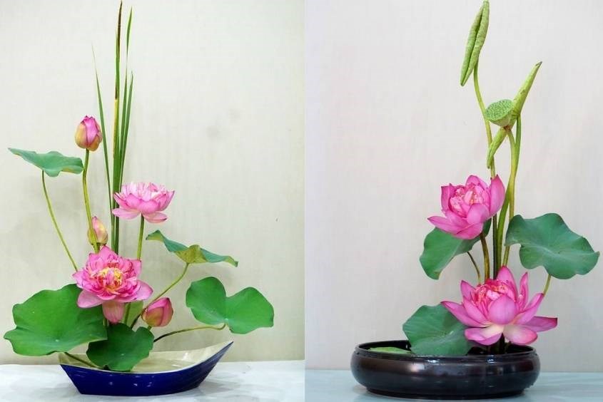 7+ Cách cắm hoa sen lâu tàn sang trọng, phù hợp với nhiều không gian