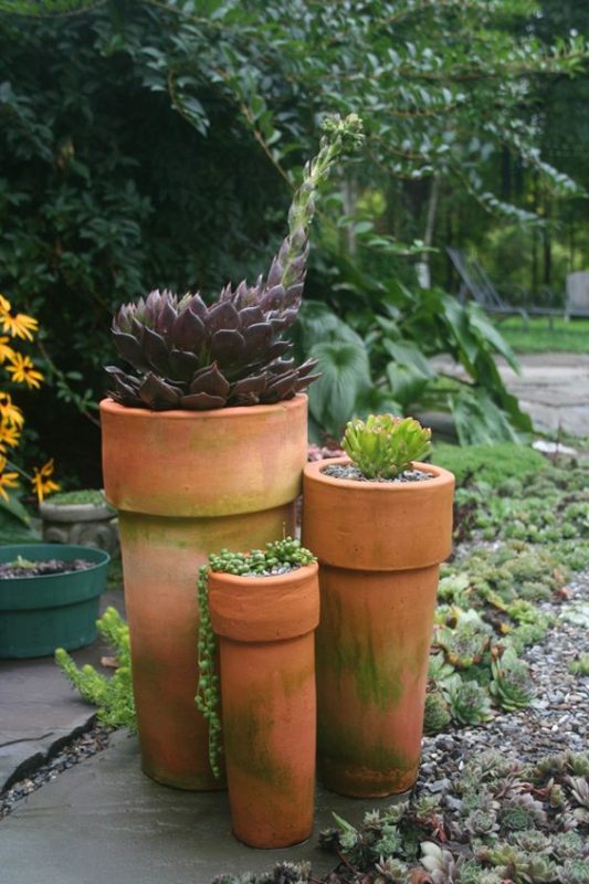 4 Điều Nên Và Không Nên Khi Trồng Cây Trong Chậu Đất Nung - Garden Ceramics