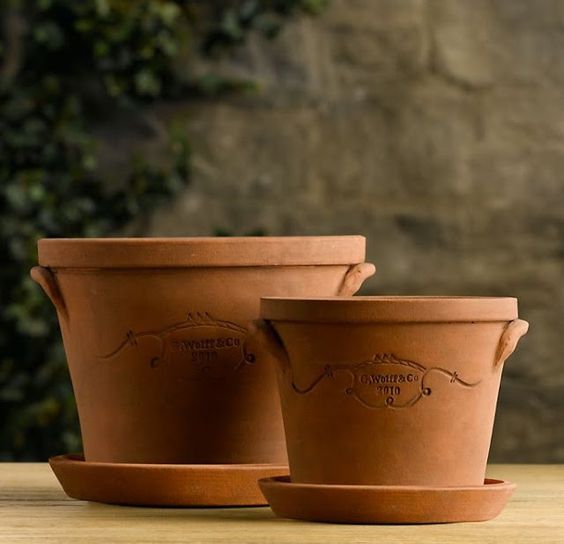 4 Điều Nên Và Không Nên Khi Trồng Cây Trong Chậu Đất Nung - Garden Ceramics