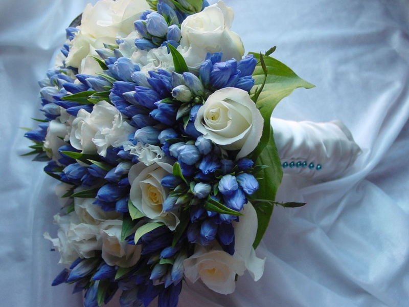 Những mẫu hoa cưới cầm tay màu xanh dương độc đáo