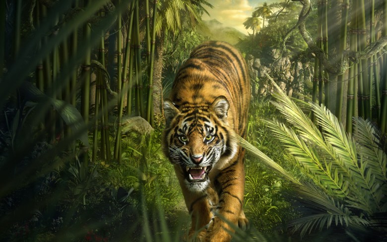 ảnh nền con cái hổ đang được gầm gừ nhập khu rừng rậm già