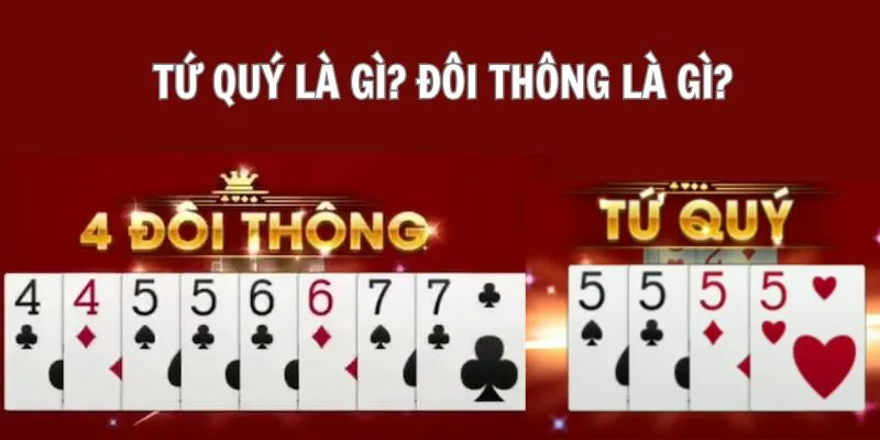 Bốn bạn có thể chặt được 4 cặp cây thông không? Trả lời chi tiết