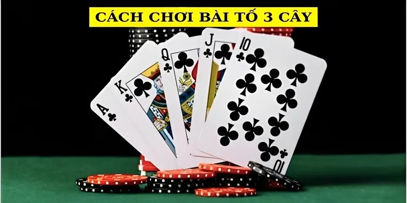 Hướng dẫn cách chơi poker cho người mới mê chơi bài