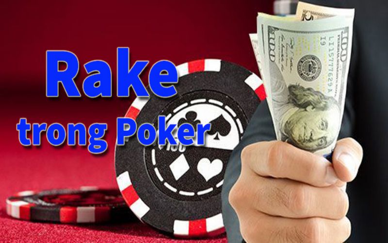 Rake Là Gì Trong Poker? Tầm Quan Trọng Của Rake Trong Poker